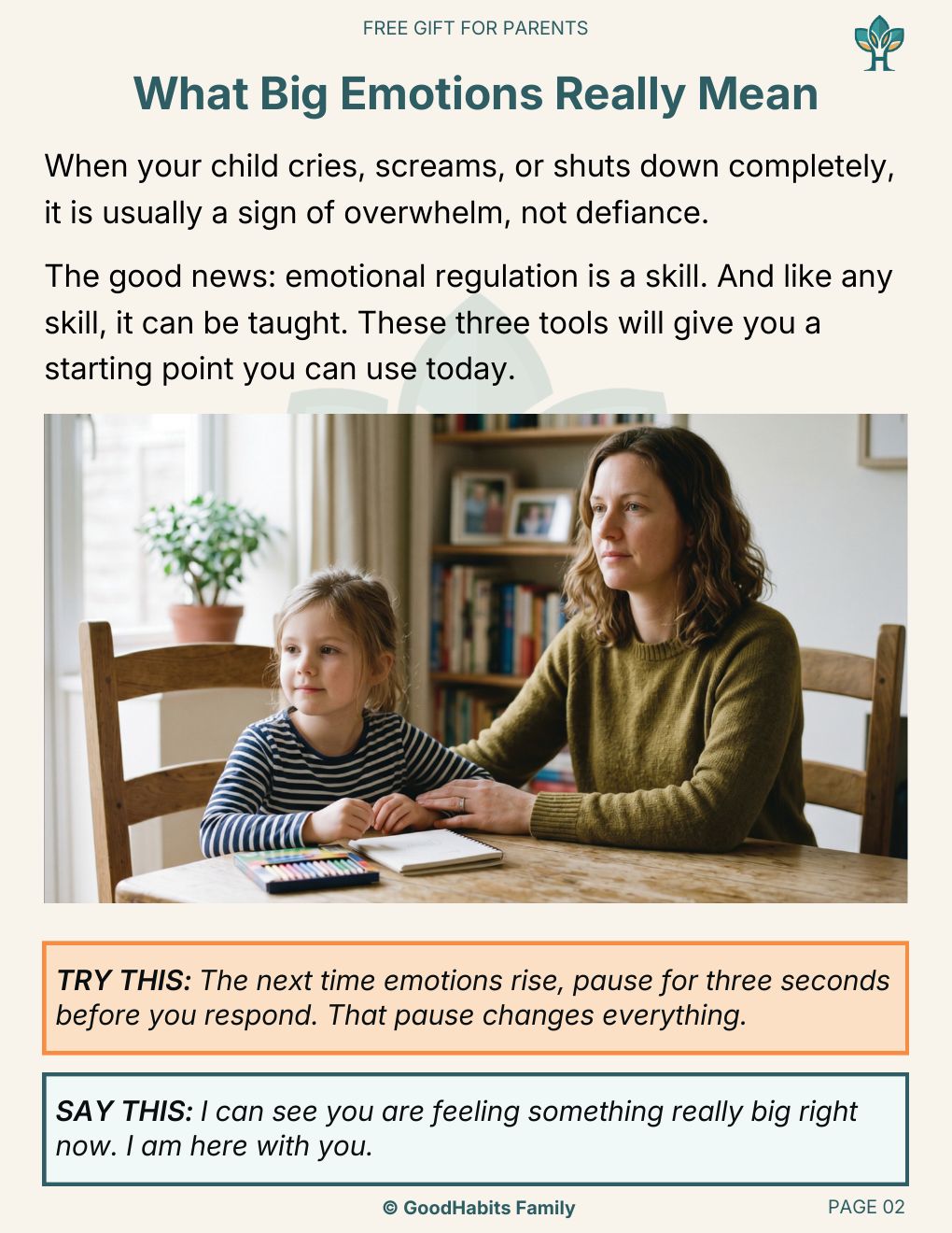 Emotion First Aid Kit — Why your child’s meltdowns look like defiance — but aren’t
