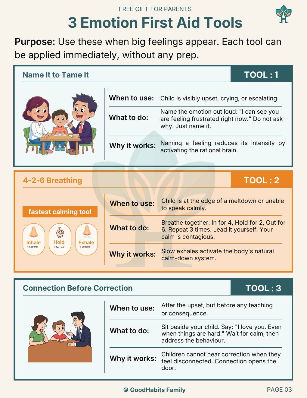 Emotion First Aid Kit — The three Emotion First Aid tools, side by side