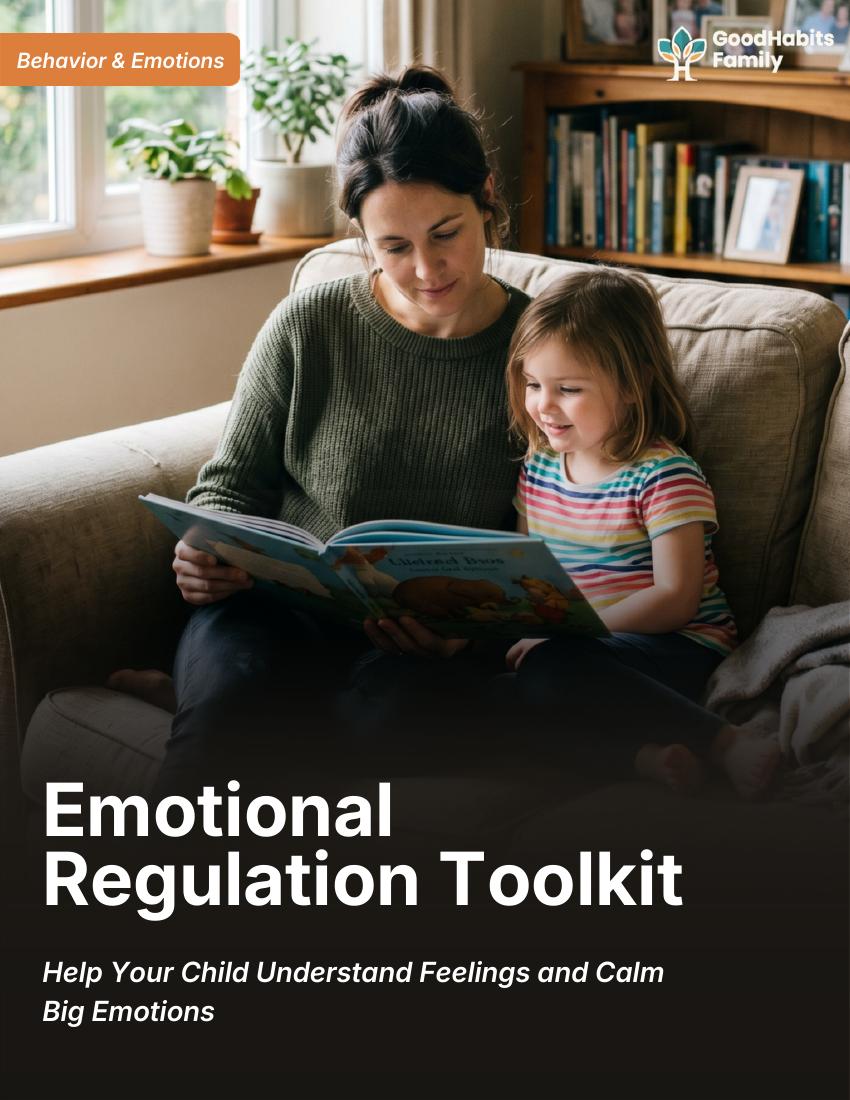 Emotional Regulation Toolkit